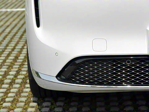 2025�� ���� Max+ ������������ 