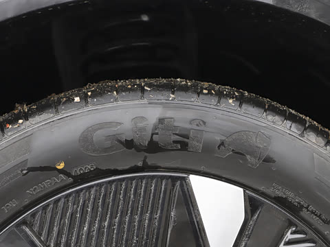 2026�� ����600 Pro