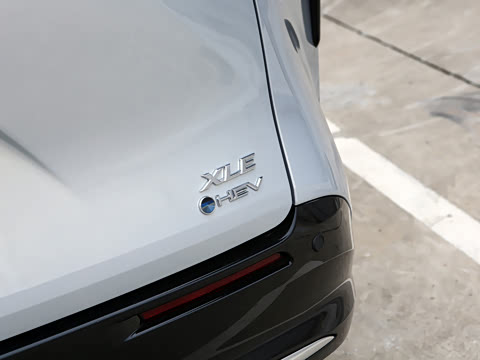 2026�� 2.5L ˫������������