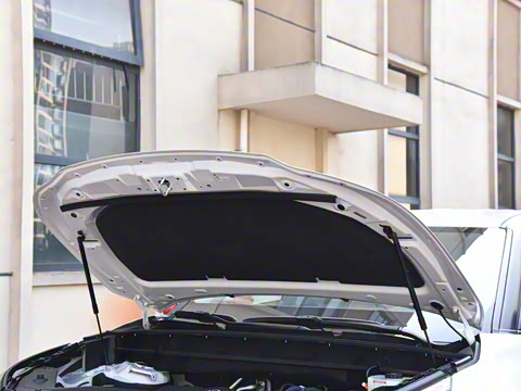 2026�� 2.5L���ܵ��˫��������Ӣ�� 7��