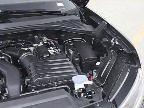 2026�� 3000������ѡ�� 300TSI