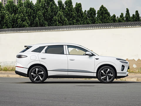 2026�� DM-i 310�콢��