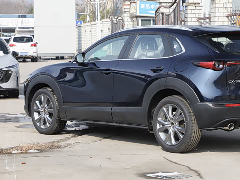 2025�� 2.0L �Զ�������