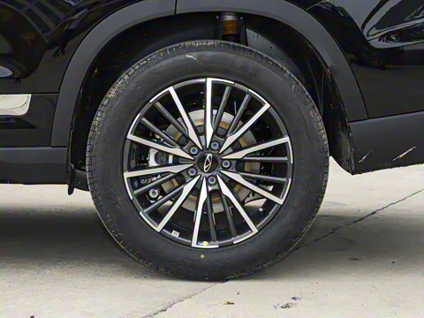 2025�� 290T ��������+