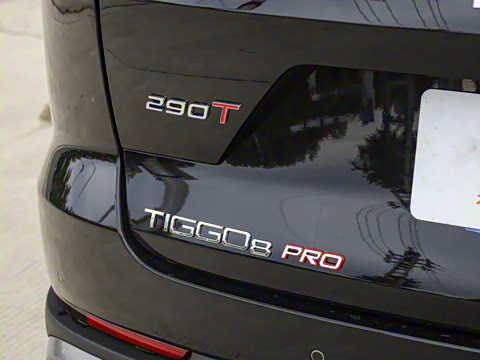 2025�� 290T ��������+