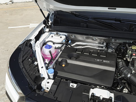 2026�� 290TGDI DCT������ 5��