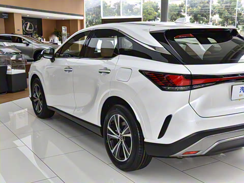 2026�� 300 ����������