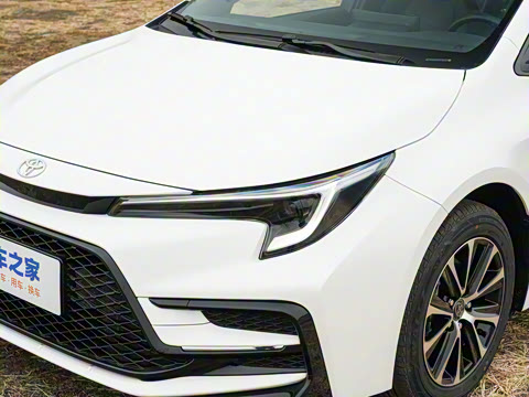 2026�� ����L ���Ͱ� 2.0L ����PLUS��