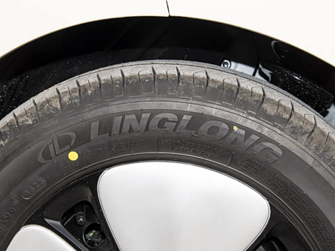 2026�� ����� 301km ���׿�