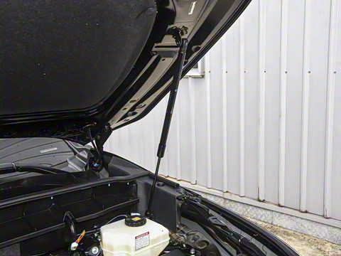 2026�� 2.5L���ܵ��˫��������Ӣ�� 7��