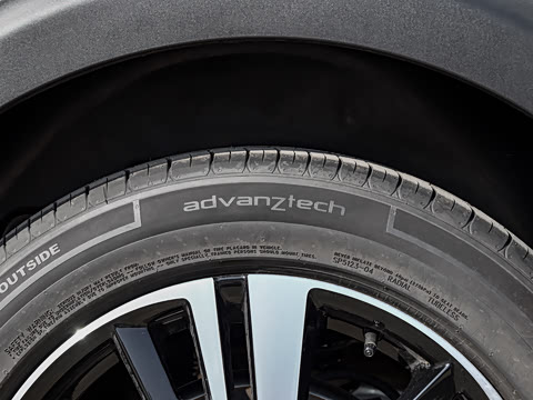 2025�� ������