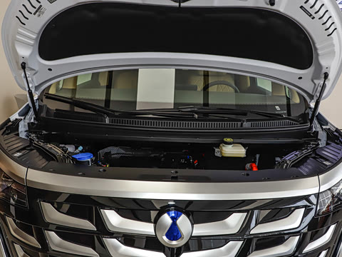 2025�� DM-i ��������