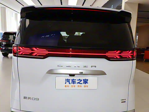 2025�� DM-i ��������