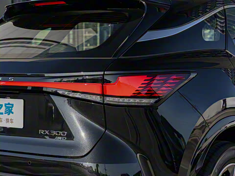 2026�� 300 ����������