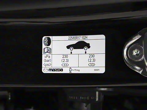 2025�� 2.0L �Զ�����������