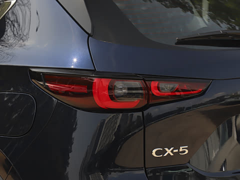 2025�� 2.0L �Զ���������Pro