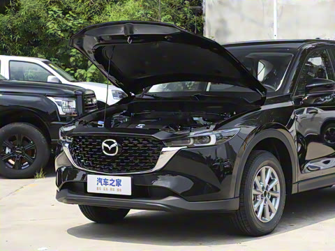 2025�� 2.0L �Զ�����������