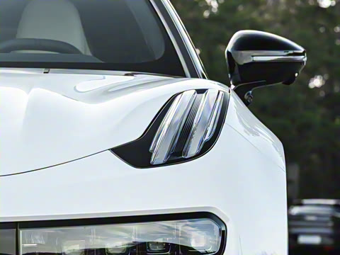 2026��   95������ Max��