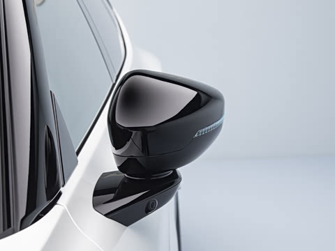 2026�� ����� ����