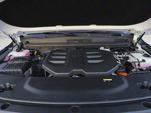 2025�� �Ǿ�Ǭ���� 5��