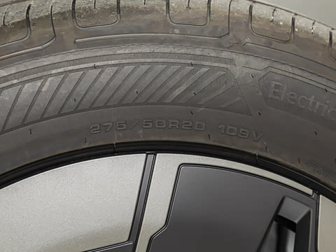 2025�� Max ������