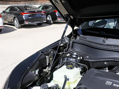 2026�� 1600 ������Turbo�� 