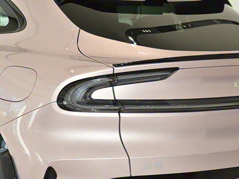 2025�� ������������Pro��