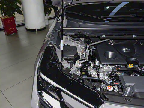 2026�� 2.0L ����������