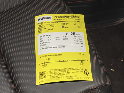 2025�� 2.0L �Զ����Ű�