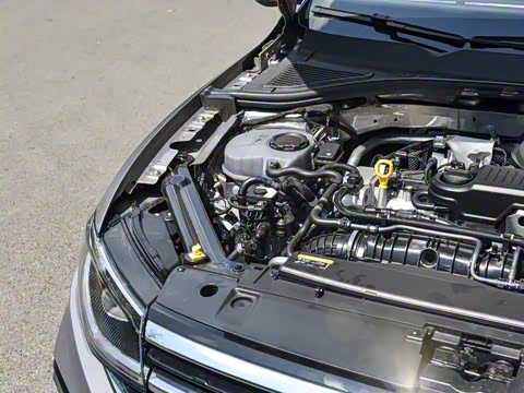 2025�� �Ŀ� 300TSI DSG���а�