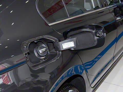 2025�� �Ŀ� 300TSI DSG���а�