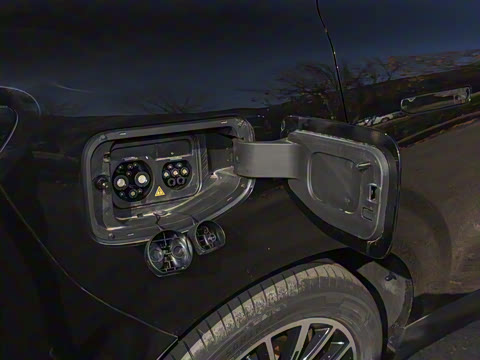 2025�� 600������