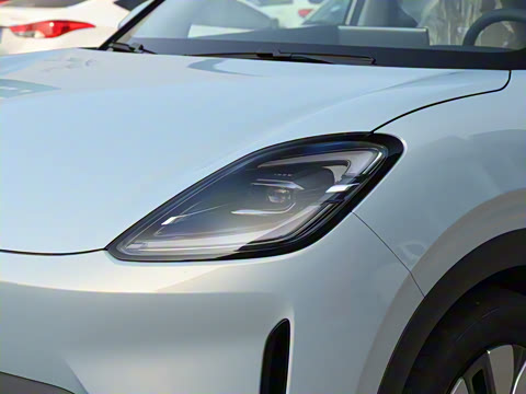 2025�� 325km ������