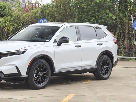 2026�� ȫ��30����ҫ�� 2.0L e:HEV ����������