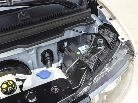 2025�� 205km ʥ����