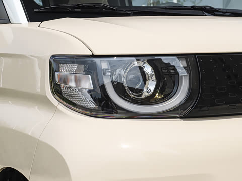 2025�� 205km ʥ����