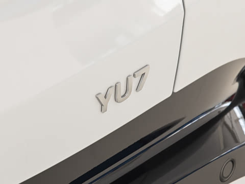 2025�� ������������Pro��