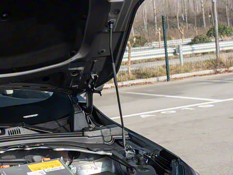 2026�� ������