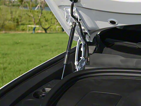 2026�� ���� Max������ 6��