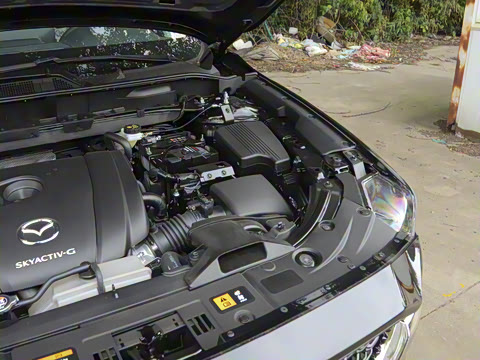 2025�� 2.0L �Զ���������Pro