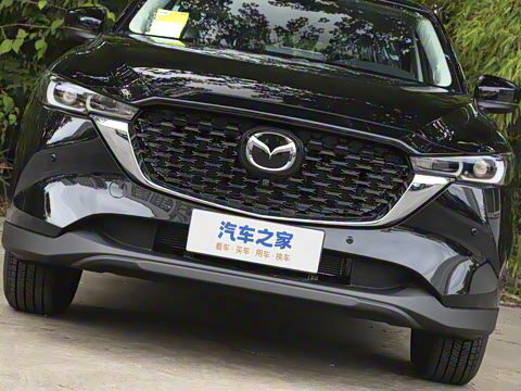 2025�� 2.0L �Զ���������Pro