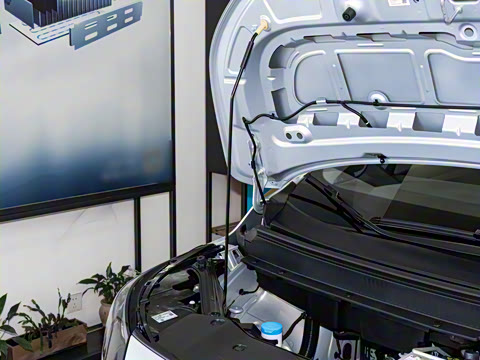 2025�� Plus 510 �Ǻ���