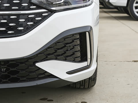 2026�� 300TSI DSG�ǿ����Ȱ�