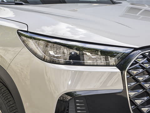 2025�� 290TGDI DCT���ư�