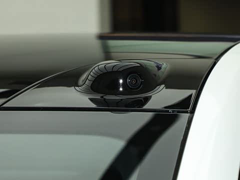 2025�� Max ������