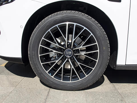 2026�� DM-i 210KM������