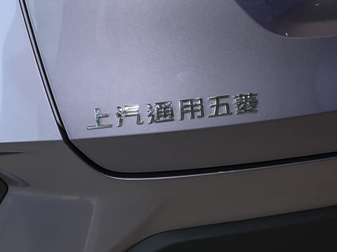 2026�� 1.5L �ֶ�������