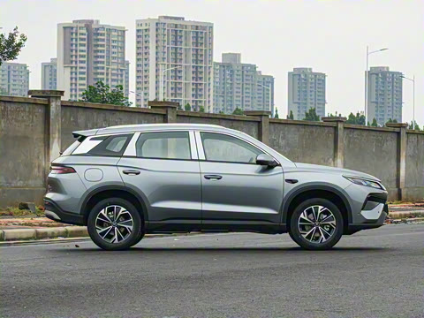 2026�� DM-i 133KM��Խ��