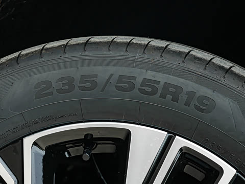 2026�� ���� 310 Max