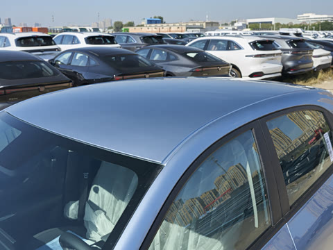 2026�� 310km �����